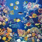 海底世界