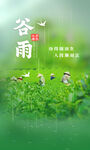 谷雨时节绿意盎然的景象