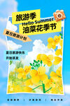 油菜花