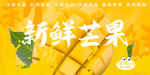 芒果