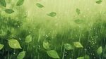雨中绿叶纷飞的清新景象