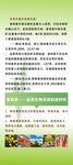 麦绿素产品详情页展架