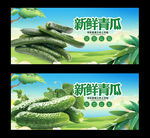 青瓜