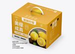 柠檬手提礼盒包装