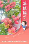 荔枝