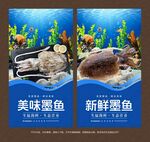墨鱼