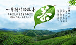 茶园禅茶一味背景墙