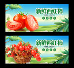 西红柿