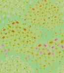扎染菊花