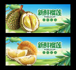 榴莲