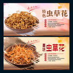 虫草花