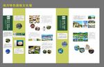 地方特色展板文化墙