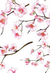 粉色桃花枝插画素材