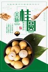 新鲜桂圆海报