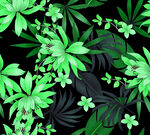 热带绿植花卉背景图案