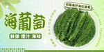 海葡萄