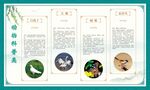 动物鸟类类科普展板