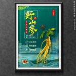 人参