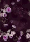 梦幻紫色花卉艺术画面