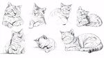 猫咪姿态素描集合
