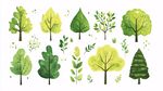 水彩风多样绿植插画集