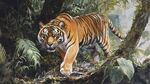 森林中的猛虎