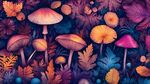 梦幻森林蘑菇与多彩植物