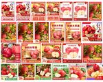 多样苹果图片集合展示