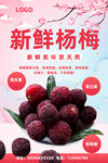 杨梅