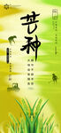 芒种二十四节气海报
