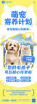 宠物寄养宣传海报