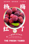 杨梅海报