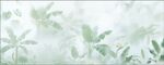 热带雨林绿植雾气模糊背景