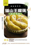 猫山王榴莲