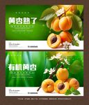 黄杏海报