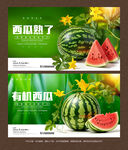 西瓜海报