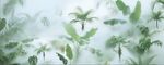 雾气磨砂膜效果绿植贴图