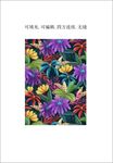 紫色菊花  花卉植物图案