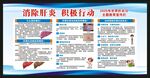 世界肝炎日宣传栏