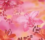 手绘花