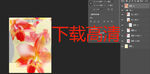 花卉