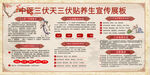 中国三伏天三伏养生宣传板