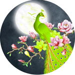 月夜孔雀栖于繁花枝头圆形装饰画
