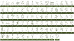 中草药 