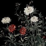 墨底菊韵花卉插画