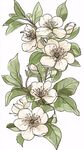 手绘白色花卉与绿叶枝条