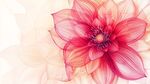 梦幻粉色花朵唯美插画