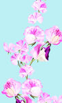 手绘花