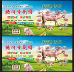猪肉分解图