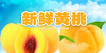黄桃